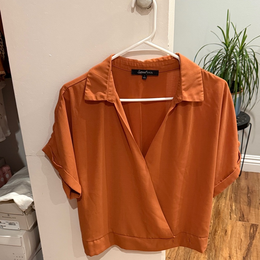 Sweet Rain Terracotta Blouse